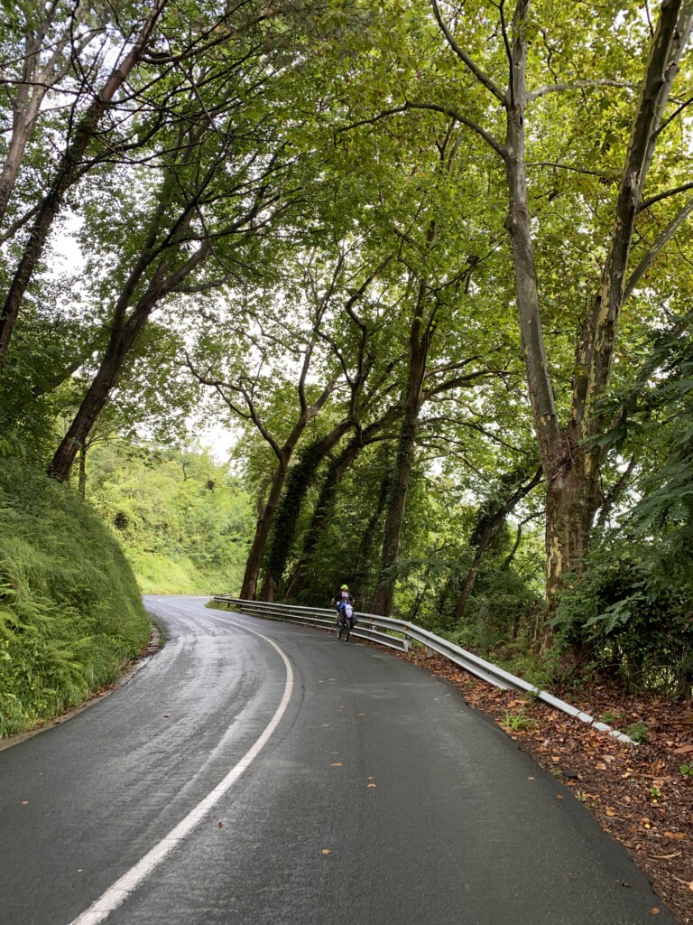 La carretera seguía mojada después de toda la noche lloviendo